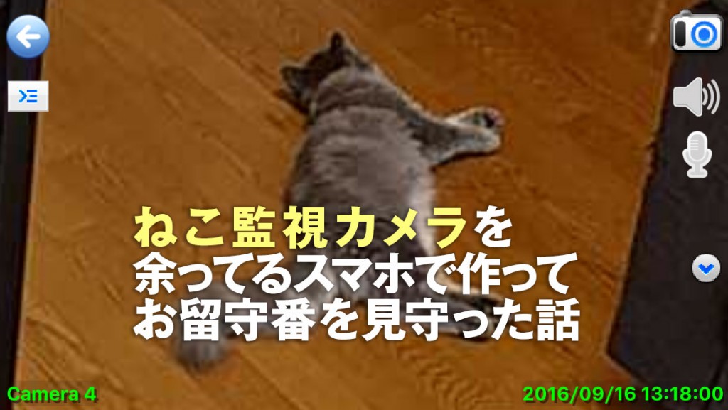 cat_remote_camera01